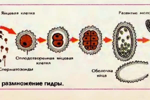 Кракен сайт