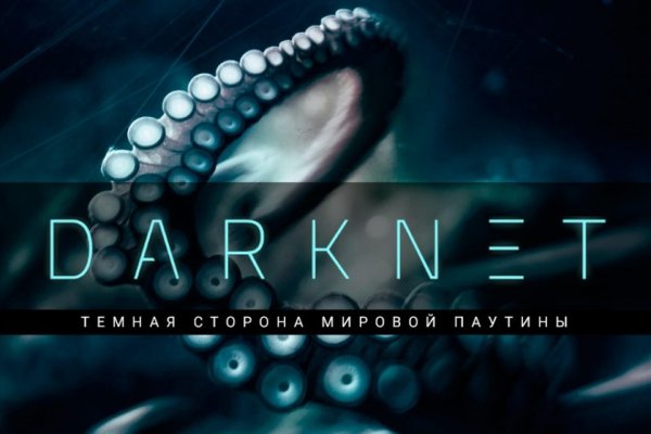 Kraken 17 at