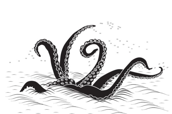 Kraken at17
